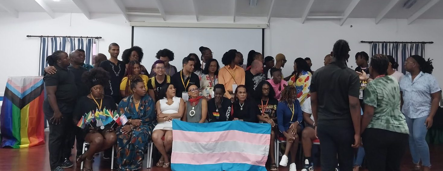 People sitting and standing, some hold the transgender flag in front and a set of Caribbean flags. The LGBTQ+ progress flag is to the left